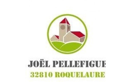 JOEL PELLEFIGUE